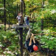 Climb high up in the trees with the Spring Mountain Canopy Tour.